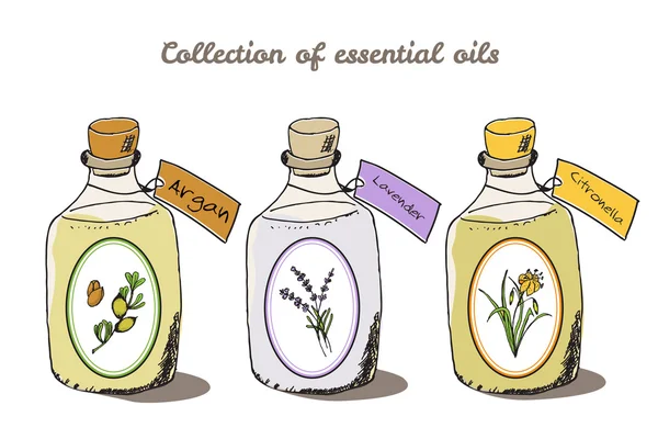 Sağlık ve doğa koleksiyonu. Argan ağacı