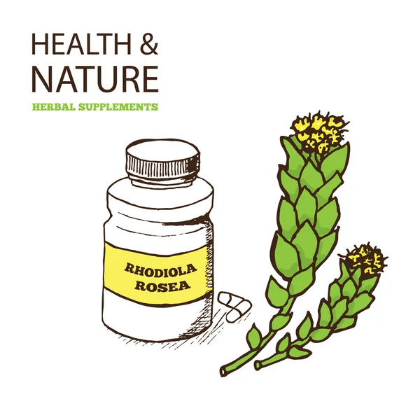 Gezondheid en natuur supplementen collectie — Stockvector