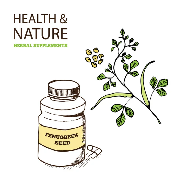 Colección de suplementos de salud y naturaleza — Vector de stock