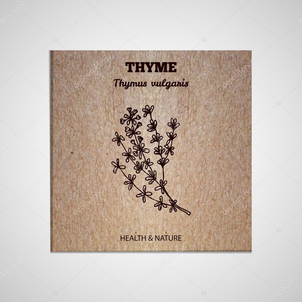 Health and Nature Supplements Collection. Banner template with a herb on cardboard background. Thyme - Thymus vulgaris