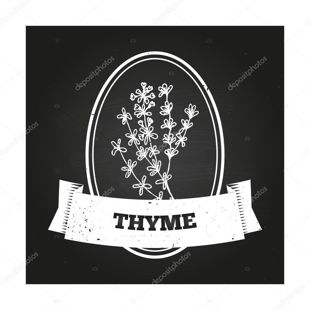 Health and Nature Collection. Badge template with a herb on chalkboard background.  Thyme - Thymus vulgaris