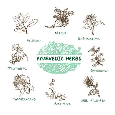 Ayurveda otlar koleksiyonu