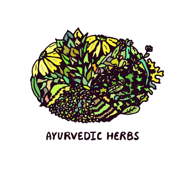 Zentangle element. Ayurvedic herbs — Stock Vector