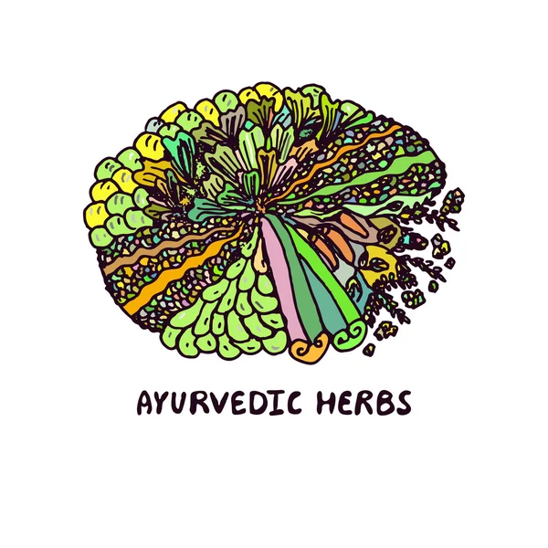 Élément Zentangle. Herbes ayurvédiques — Image vectorielle