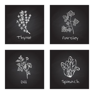 Handdrawn Illustration - Health and Nature Set. Culinary herbs clipart
