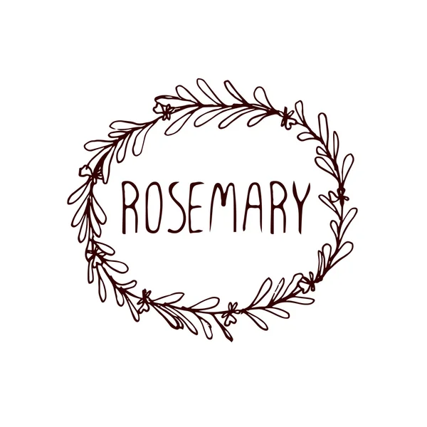 Kruiden en specerijen collectie - Rosemary — Stockvector