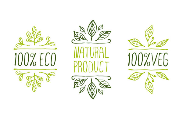 Ручные наброски типографских элементов
