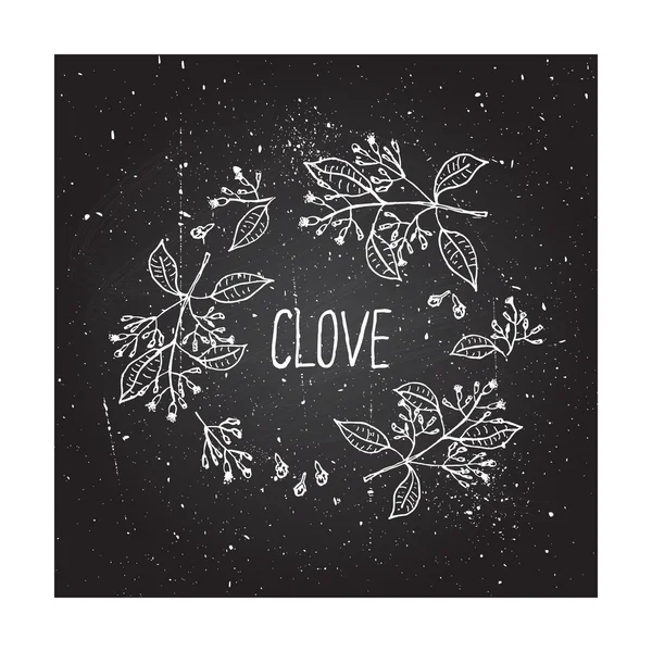 Coleção de ervas e especiarias - Clove —  Vetores de Stock