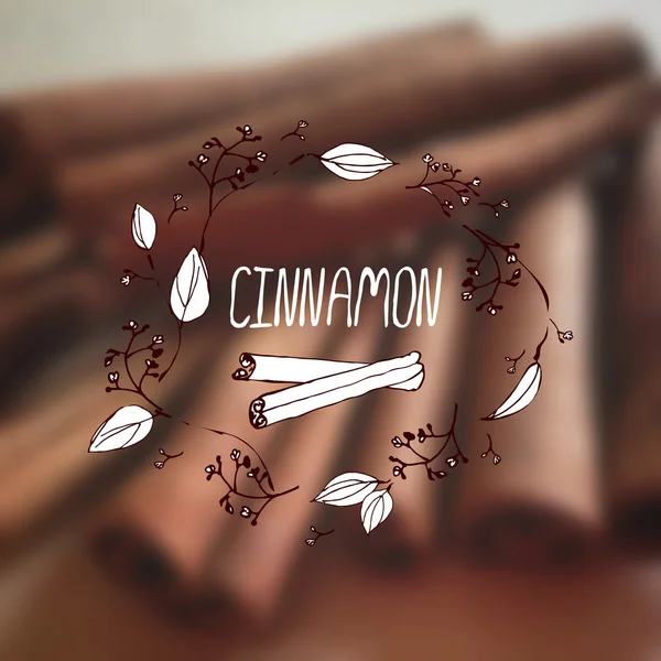 Herbs and Spices Collection - Cinnamon — Stock Vector