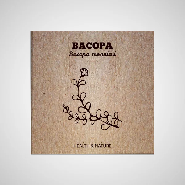 ハーブとスパイス コレクション - Bacopa — ストックベクタ