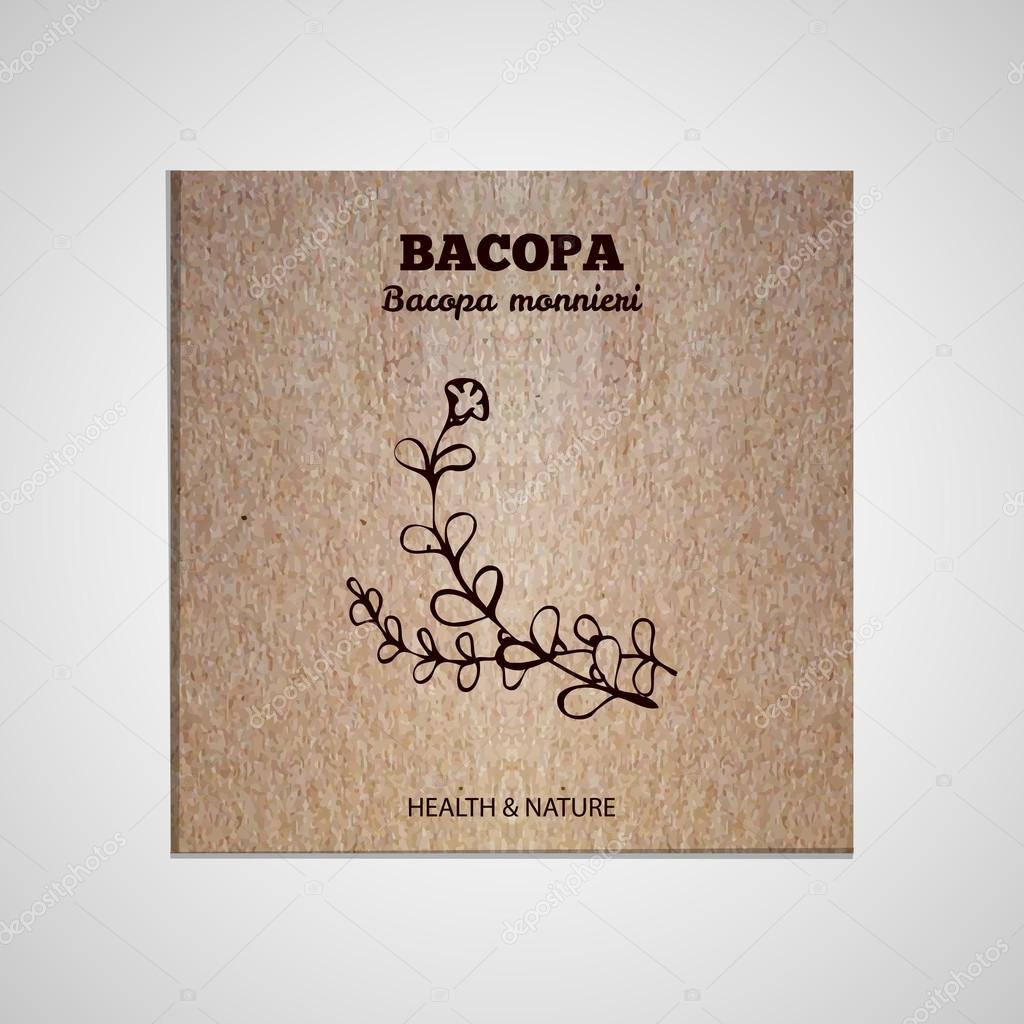 Herbs and Spices Collection - Bacopa