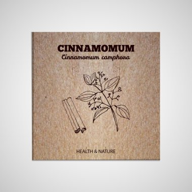 Otlar ve baharatlar Collection - Cinnamomum