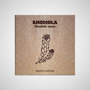 Otlar ve baharatlar Collection - Rhodiola rosea