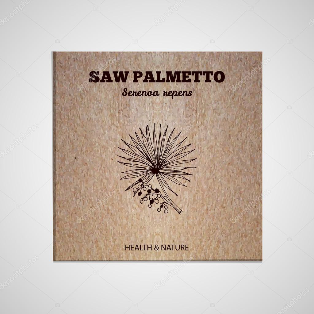 Herbs and Spices Collection - Saw palmetto