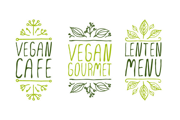 Ручные наброски типографских элементов
