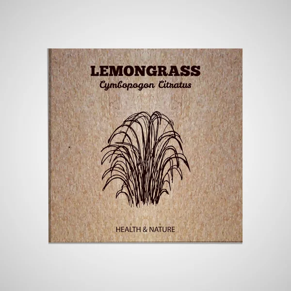 Коллекция трав и специй - Lemongrass — стоковый вектор