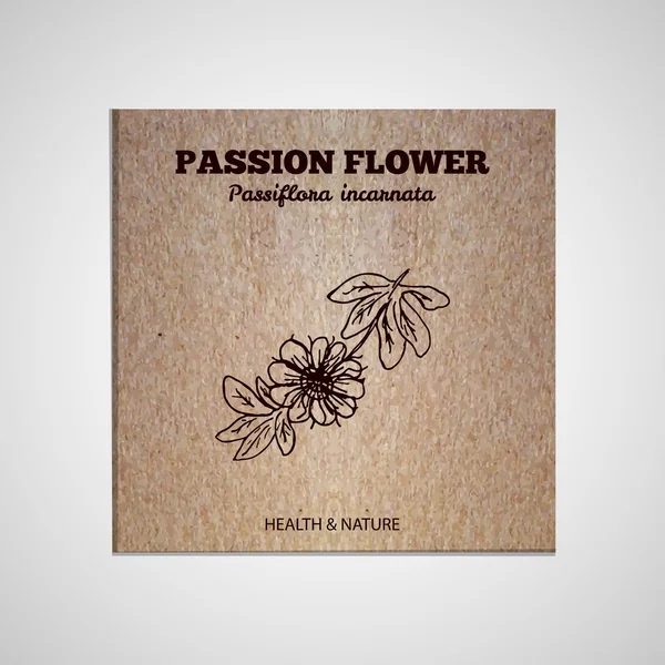 Коллекция трав и специй - Passion Flower — стоковый вектор