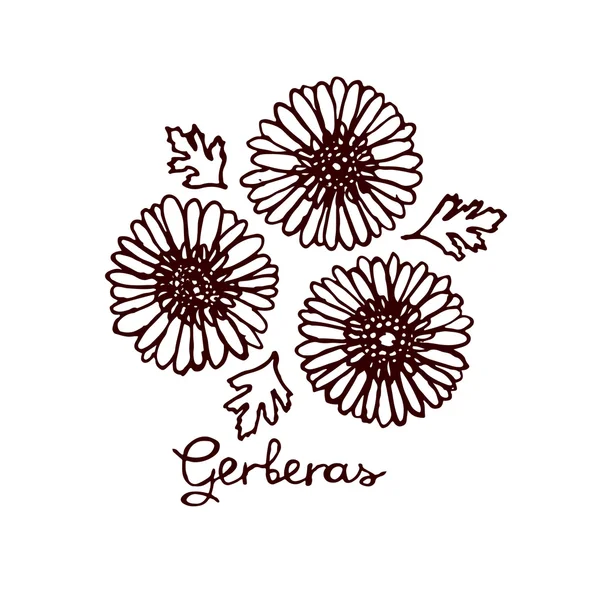 Gerbera buketi handsketched — Stok Vektör