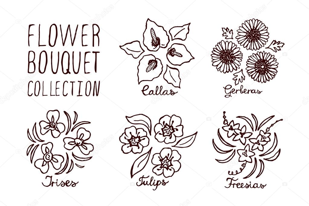 Handsketched bouquets collection.  Floral labels.  Suitable for ads, signboards, identity and wedding designs