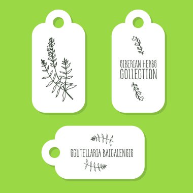 Handdrawn Illustration - Health and Nature Set clipart
