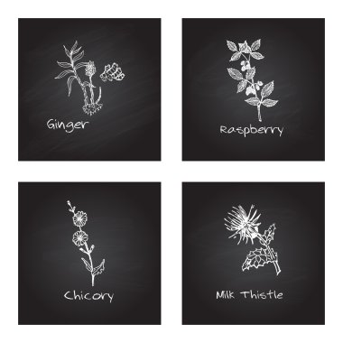 Handdrawn şifalı otlar