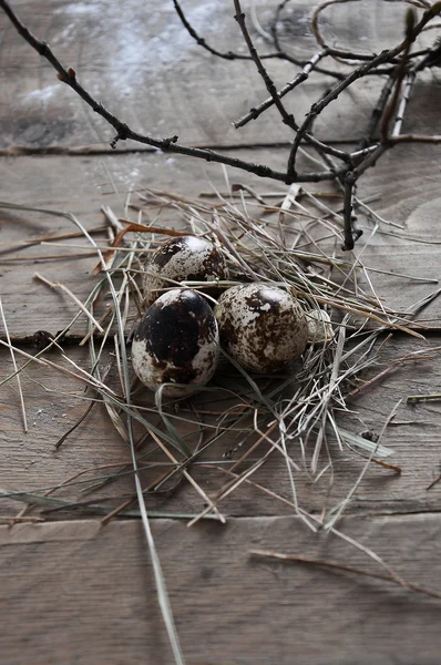 Huevos retro vintage de aves en nido sobre fondo rústico de madera — Foto de Stock