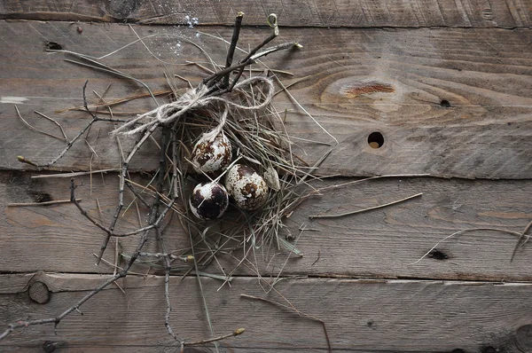 Birds retro vintage eggs in nest on rustic wooden background — Stock Photo, Image