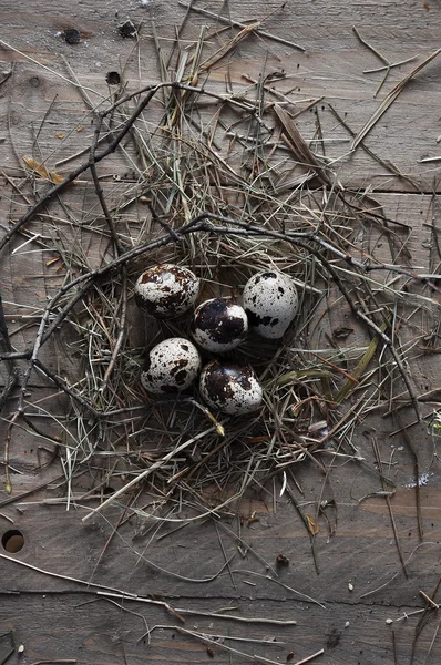 Pássaros retro ovos vintage no ninho no fundo de madeira rústico — Fotografia de Stock