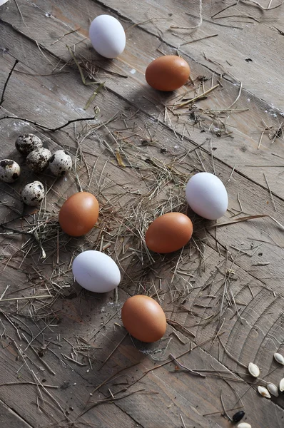 Un œuf d'oie, un œuf de poule et un œuf de caille sur fond de bois — Photo