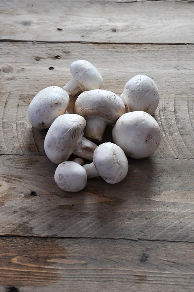 Fresh whole white mushrooms, or agaricus with dill — Stock Photo, Image