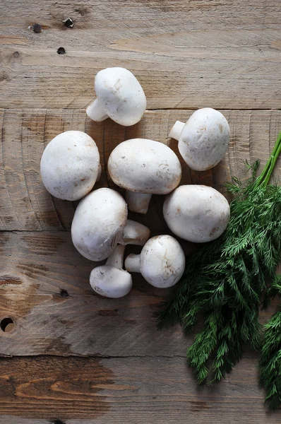 Свіжі цілі білі гриби, або агарик з кропом — стокове фото