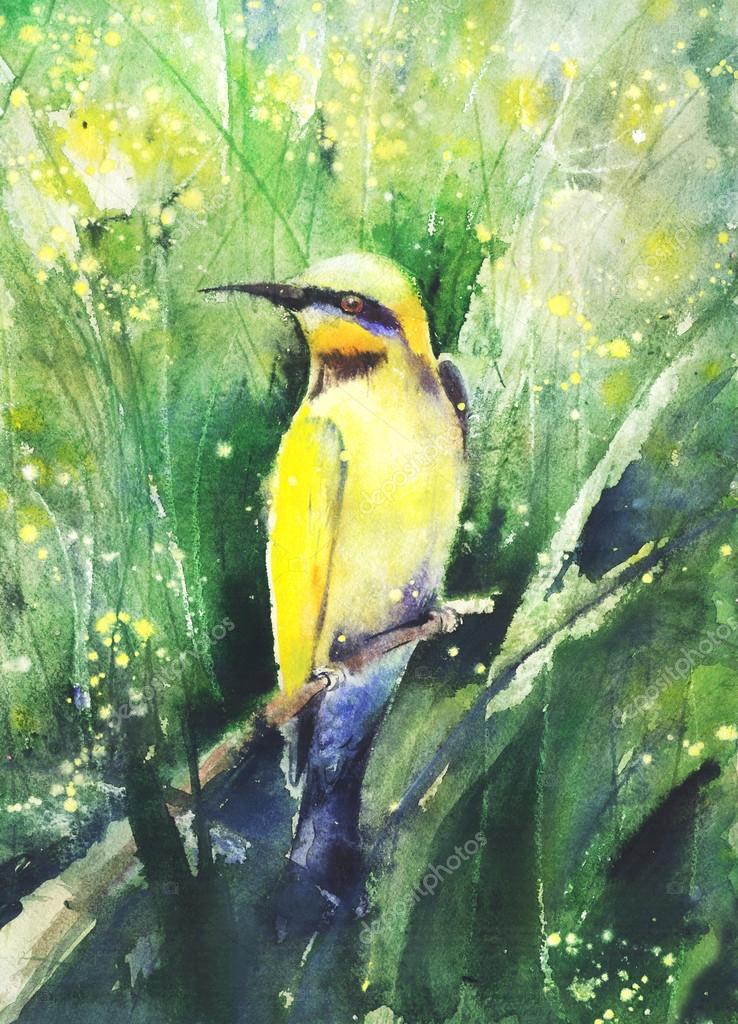 Aquarelle Dessin Dun Oiseau Tropical Photographie