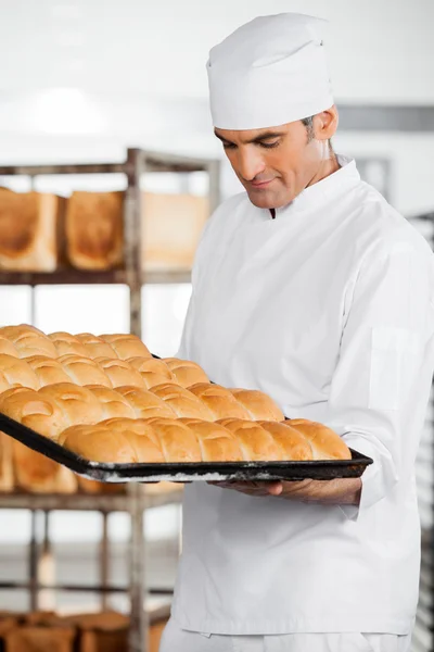 Baker olhando para pães frescos na bandeja — Fotografia de Stock