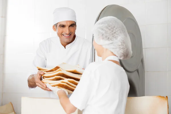 Feliz panadero recibiendo residuos de pan de su compañero de trabajo —  Fotos de Stock