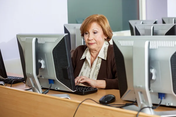 Estudante sênior usando PC desktop — Fotografia de Stock