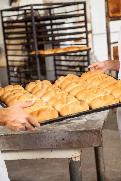 Boulangers mains portant des pains dans le plateau de cuisson — Photo