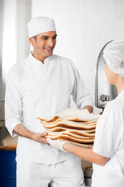 Bäcker erhält Brotabfälle von Kollege — Stockfoto