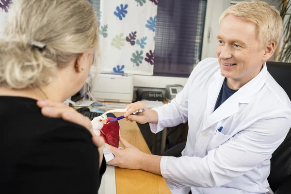 Läkare pekar på axeln rotatorkuffen modell medan förklara — Stockfoto