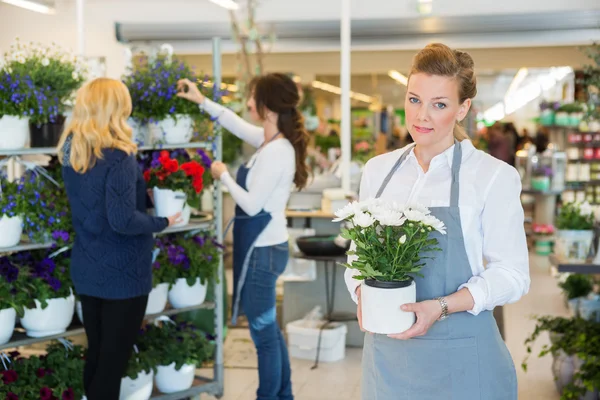 Salesgirl tenant pot de fleurs dans le magasin de fleuriste — Photo