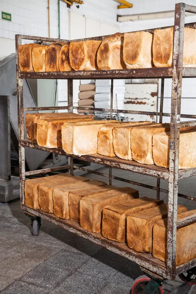 Хлеб любит на металлической полке — стоковое фото