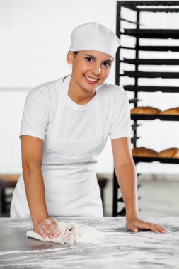 Bayan Baker un tablosundan temizlik gülümseyen