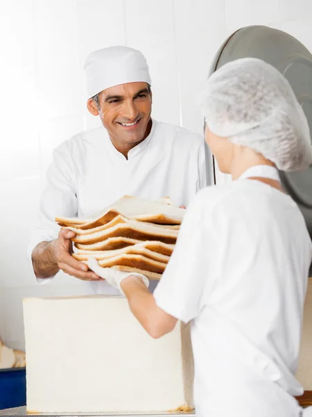 Baker tar emot bröd avfall från medarbetare — Stockfoto