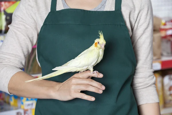 Midsection Of Saleswoman With Cockatiel — Stock Photo, Image