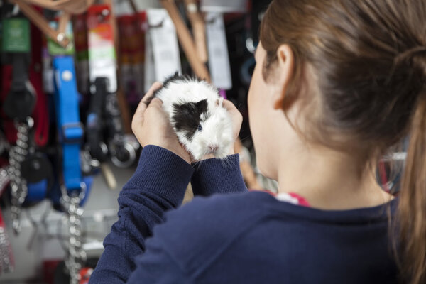 Rear View Of Girl Holding Guinea Pig