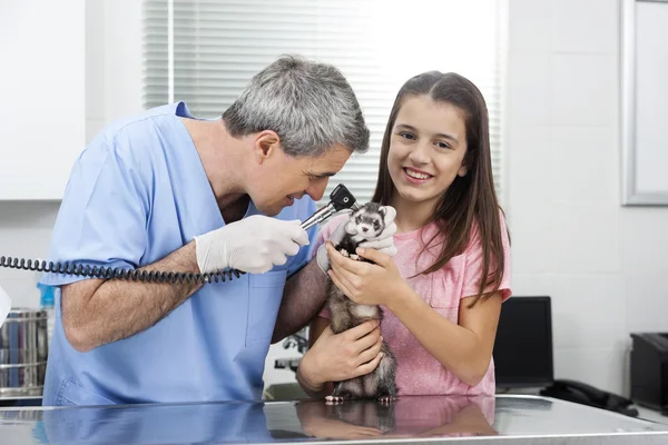 Girl Standing By Doctor Examining Weasels Ear Through Otoscope — Stock Photo, Image