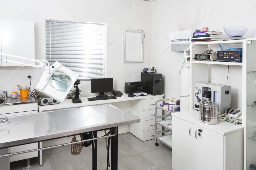 Veterinary Clinic Interior — Stock Photo © SimpleFoto #112866320