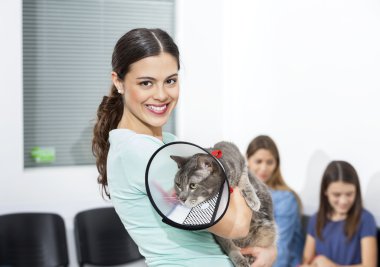Koni ile kedi kliniğinde tutan kadın