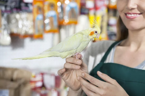 Vendedora sorridente com Cockatiel na loja — Fotografia de Stock