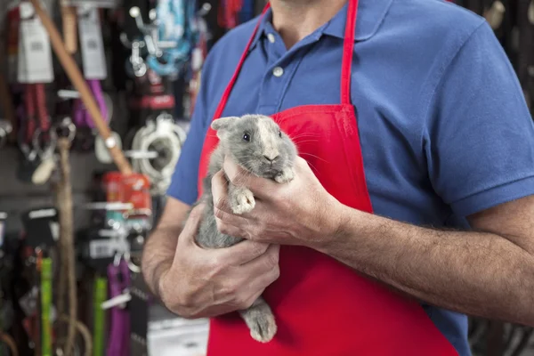 上腹部的推销员在宠物商店举行兔子 — 图库照片