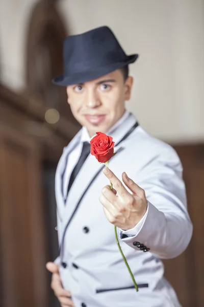 Танго Танго тримає свіжу троянду під час виступу в ресторані — стокове фото